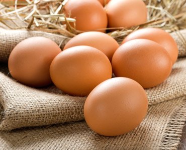 verkouden worden Verbazingwekkend Gelukkig Het ei van de boerderij | Vermeulen Eieren